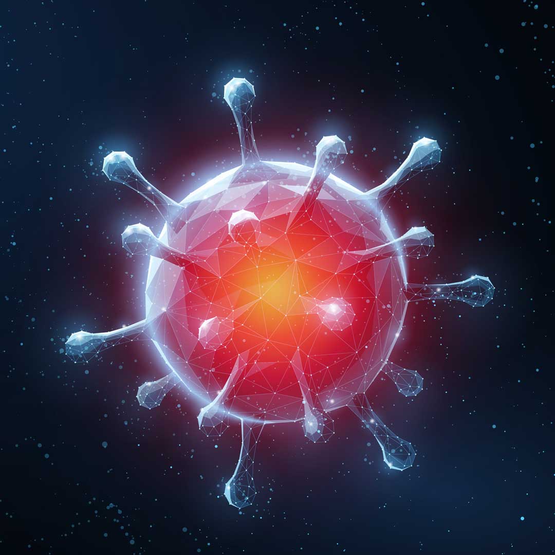 Reading: Liver Rescue by Medical Medium Anthony William