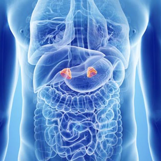 Adrenal Fatigue Epidemic