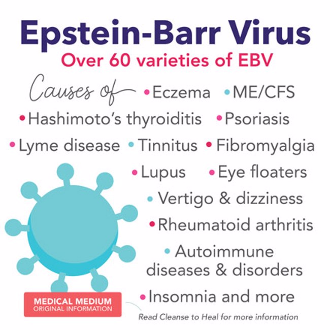 Epstein-Barr Virus