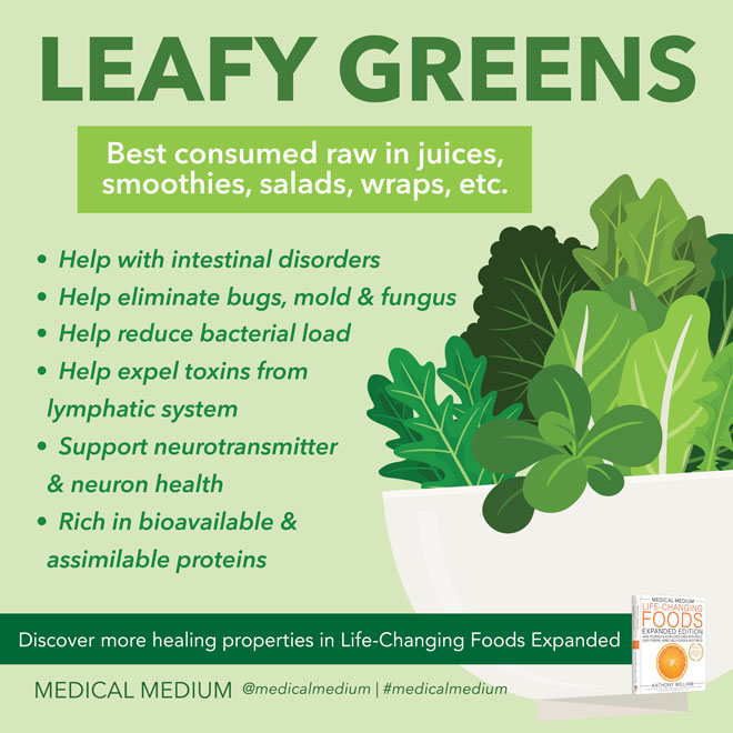 Power of Leafy Greens 