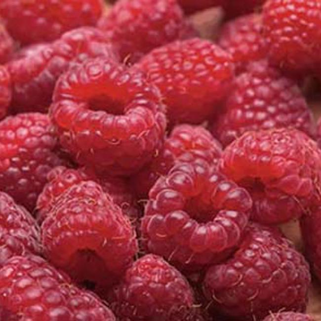 Raspberries