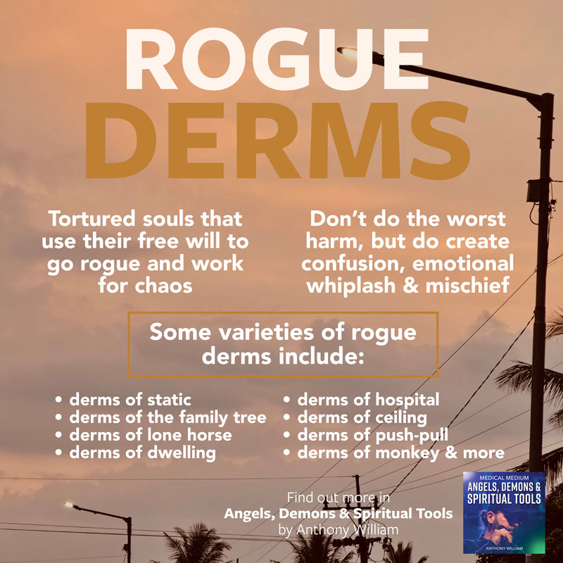 Rogue Derms