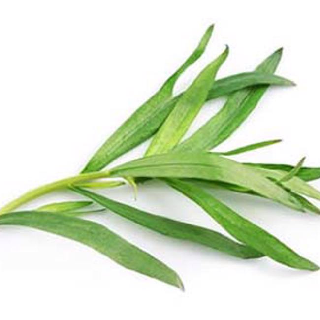 Tarragon