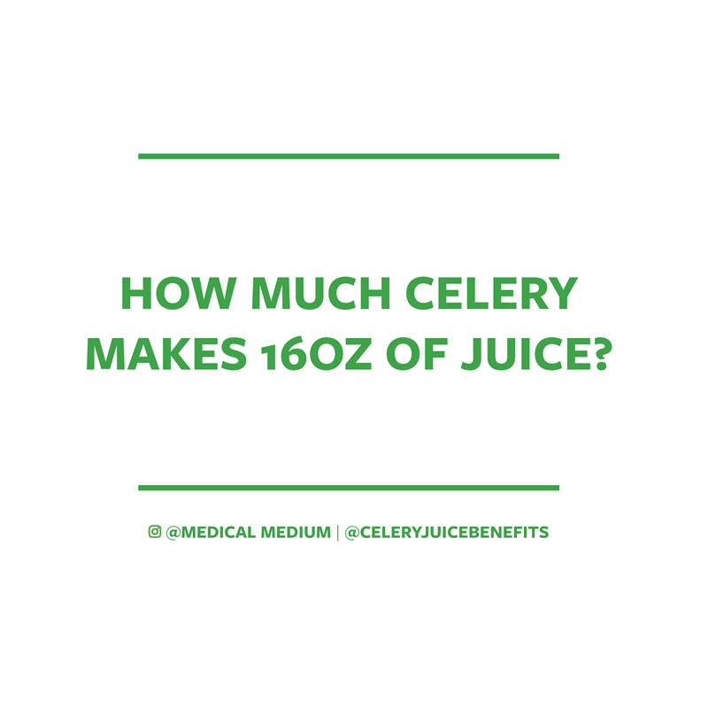 How much celery makes 16oz of juice?