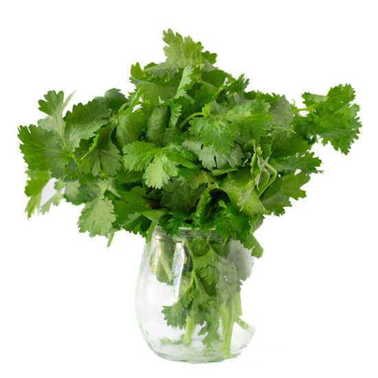 Heavy Metal Detox Smoothie Ingredients