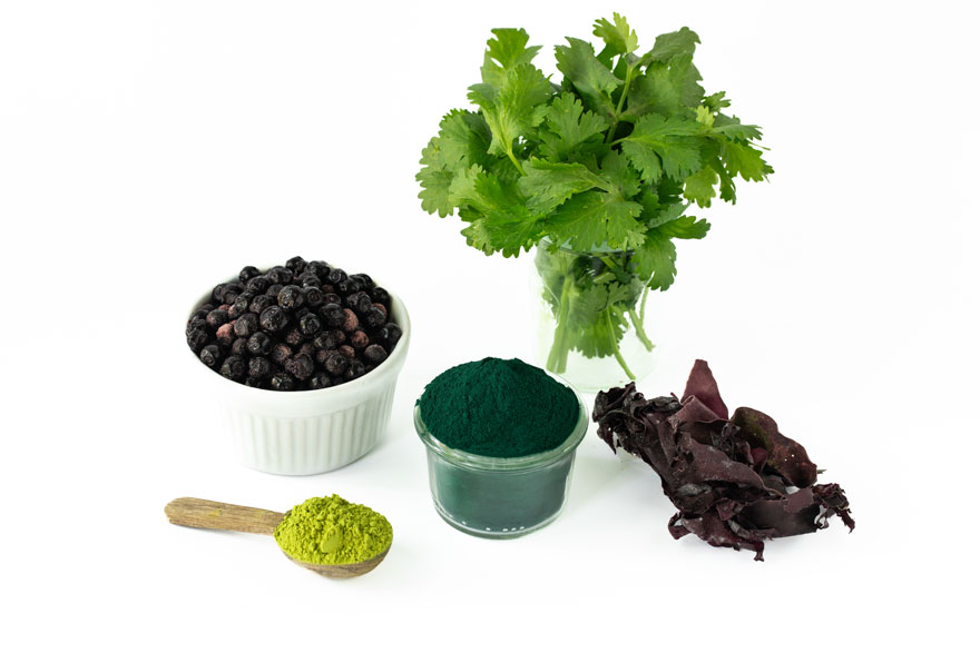 Heavy Metal Detox Smoothie Ingredients